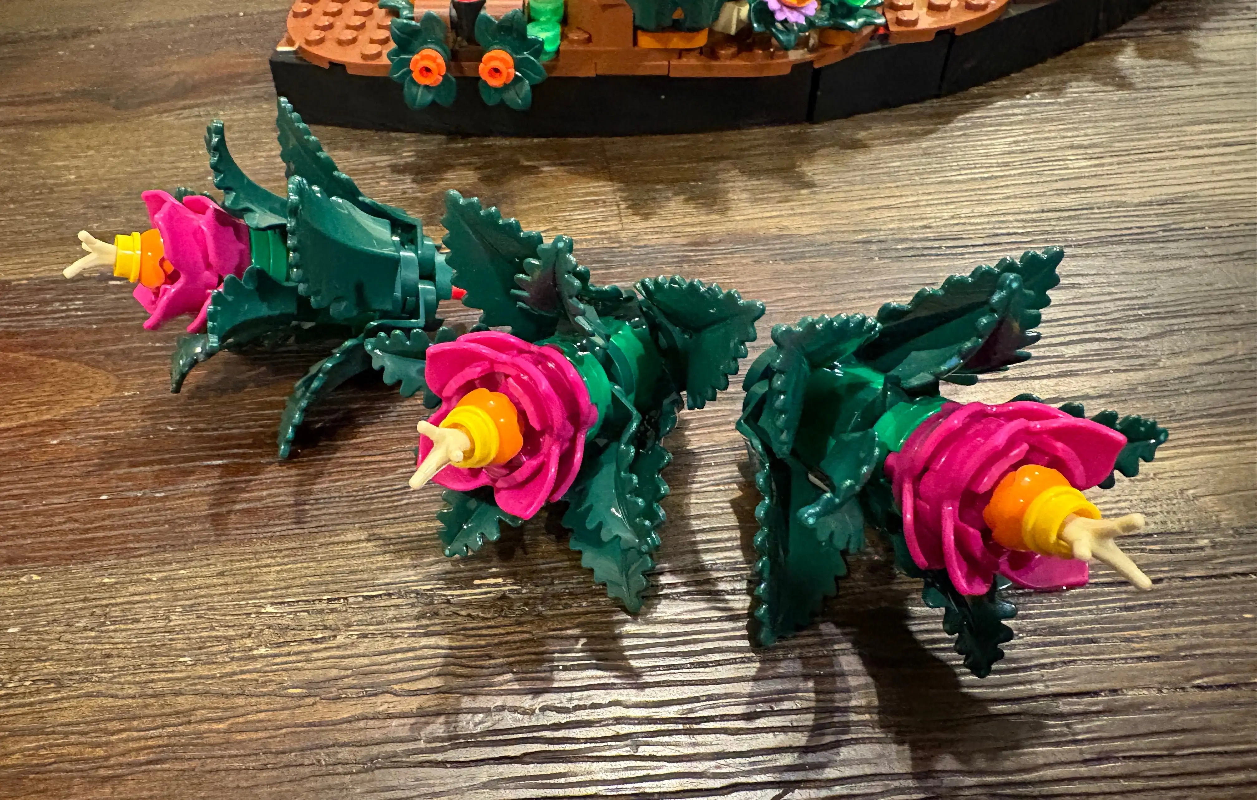 阿森纳有意,转让蒂尔尼,合理报价成,开云,KaiYun,开云体育官网,开云官网,开云体育下载